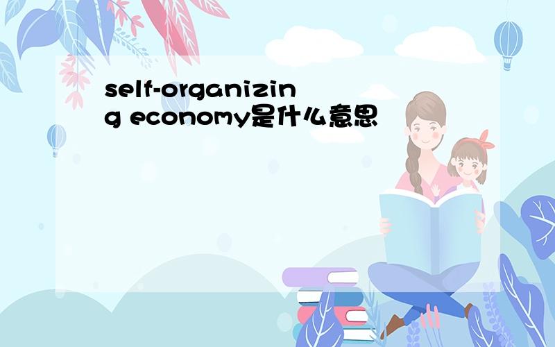 self-organizing economy是什么意思