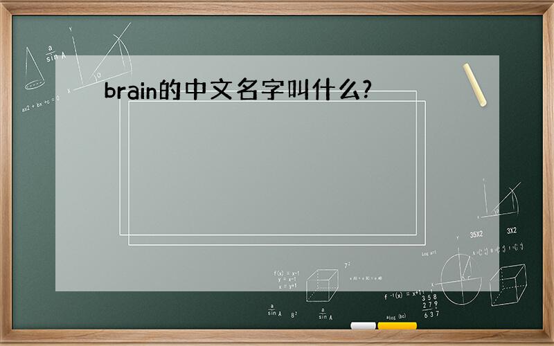 brain的中文名字叫什么?