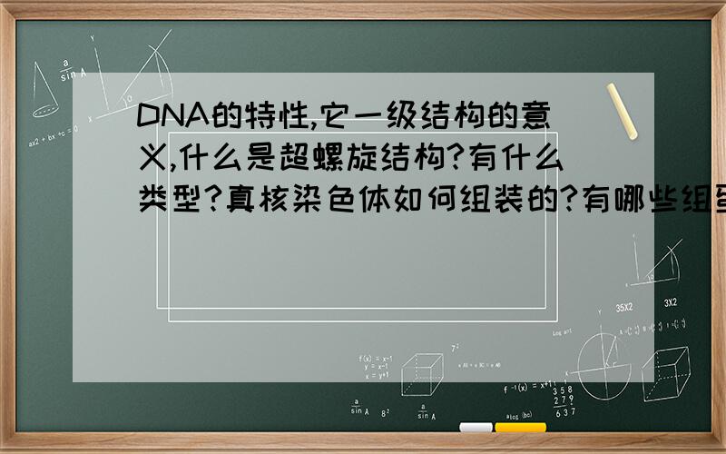 DNA的特性,它一级结构的意义,什么是超螺旋结构?有什么类型?真核染色体如何组装的?有哪些组蛋白与核