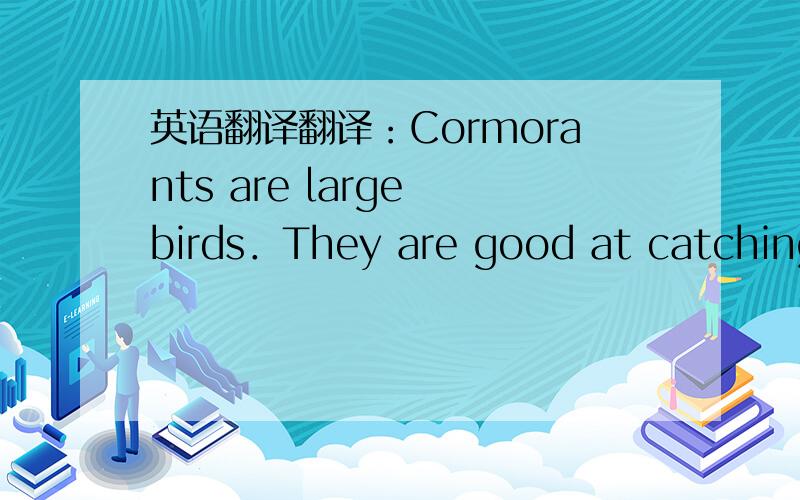 英语翻译翻译：Cormorants are large birds．They are good at catching