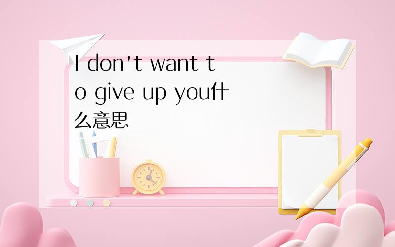 I don't want to give up you什么意思