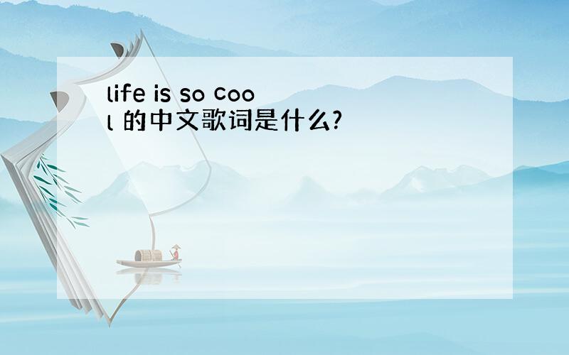life is so cool 的中文歌词是什么?