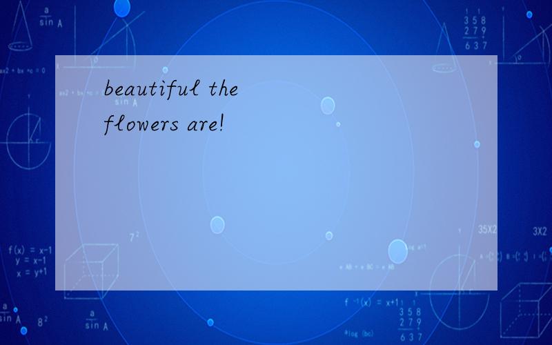 beautiful the flowers are!