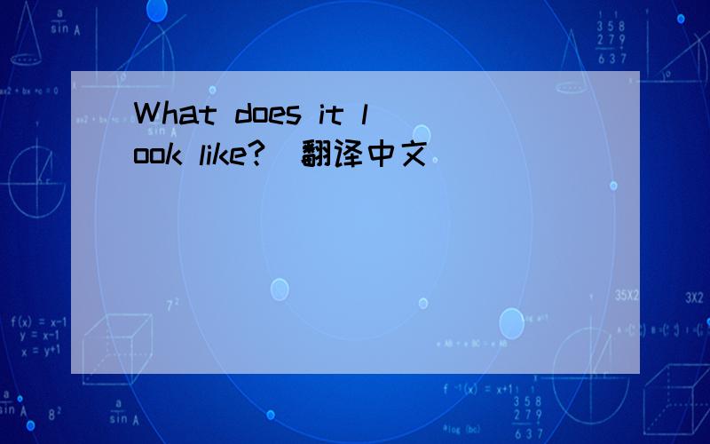 What does it look like?（翻译中文）