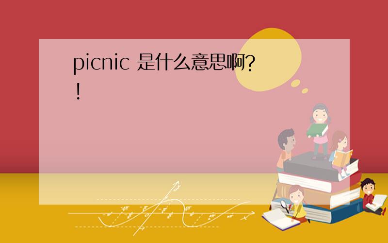 picnic 是什么意思啊?!