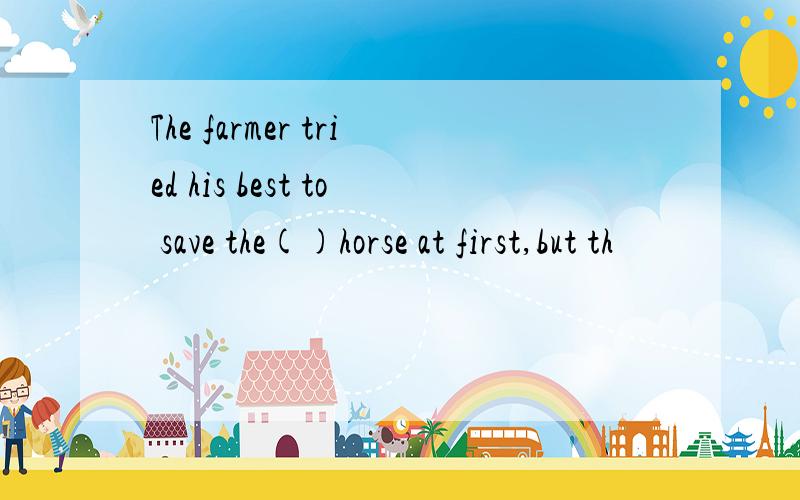 The farmer tried his best to save the()horse at first,but th