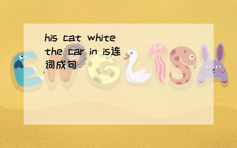 his cat white the car in is连词成句