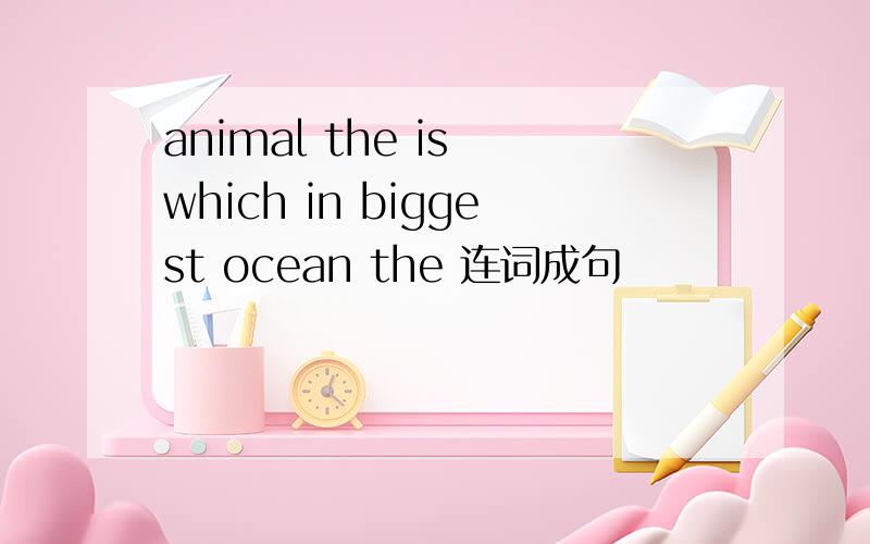animal the is which in biggest ocean the 连词成句