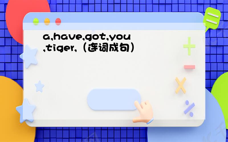 a,have,got,you,tiger,（连词成句）