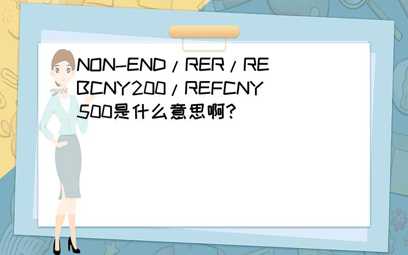 NON-END/RER/REBCNY200/REFCNY500是什么意思啊?
