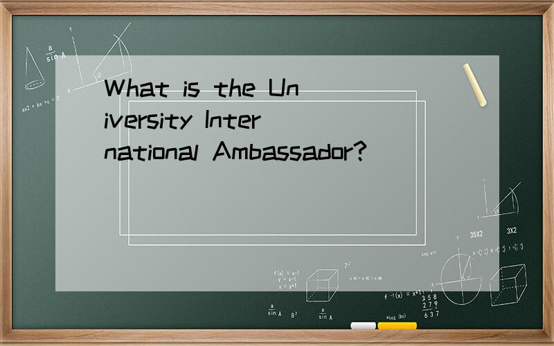 What is the University International Ambassador?