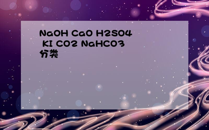 NaOH CaO H2SO4 KI CO2 NaHCO3分类