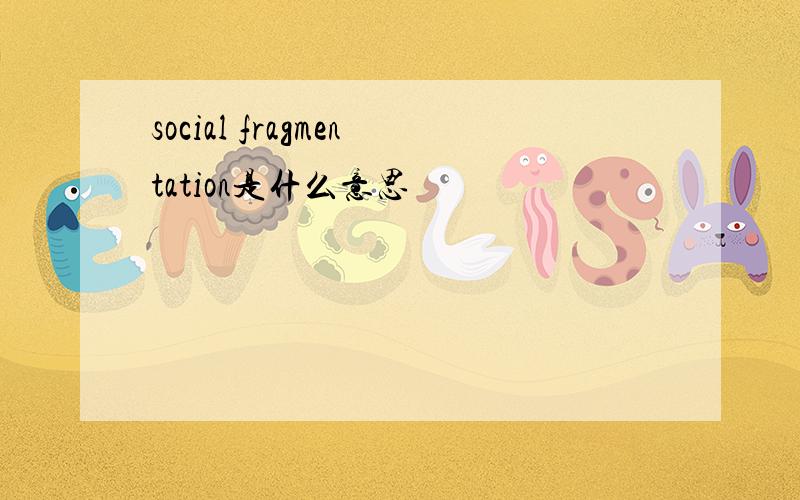 social fragmentation是什么意思