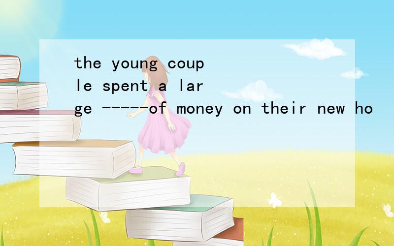 the young couple spent a large -----of money on their new ho