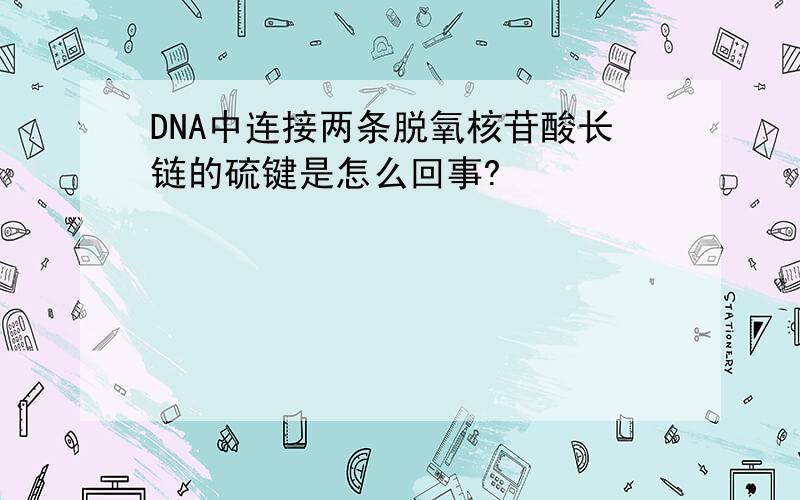 DNA中连接两条脱氧核苷酸长链的硫键是怎么回事?