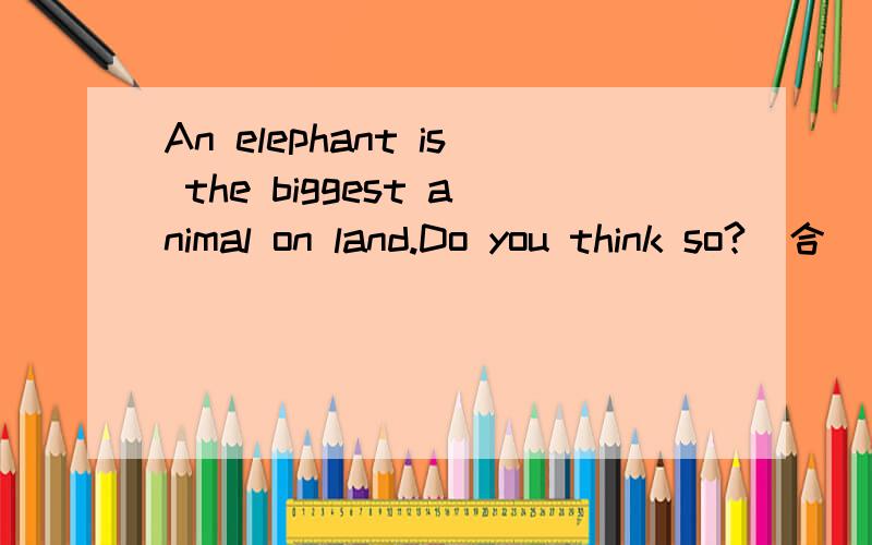 An elephant is the biggest animal on land.Do you think so?（合